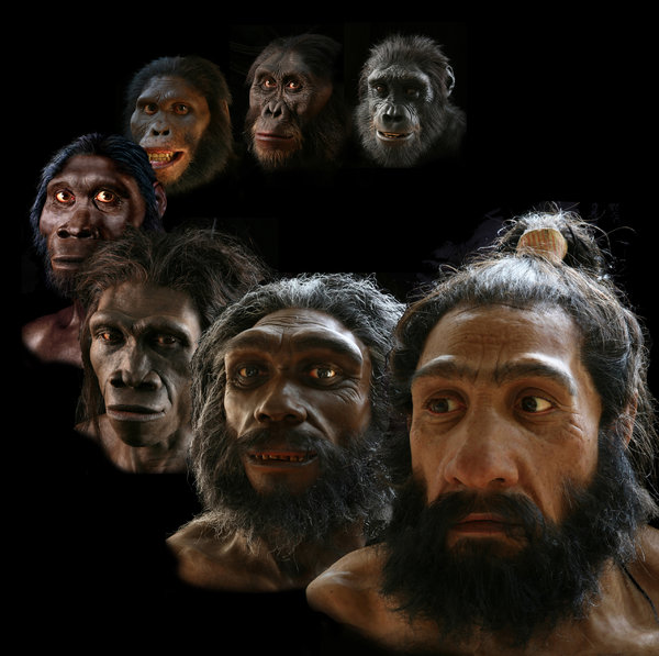 A series of reconstructions of the faces of human ancestors.